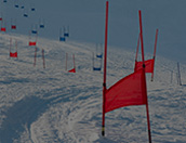Slalom géant